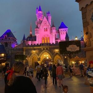 Meet your Posher, Rosemary